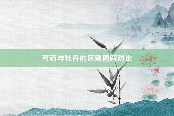 芍药与牡丹的区别图解对比
