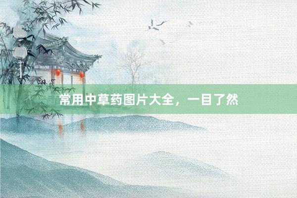 常用中草药图片大全，一目了然