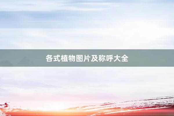 各式植物图片及称呼大全
