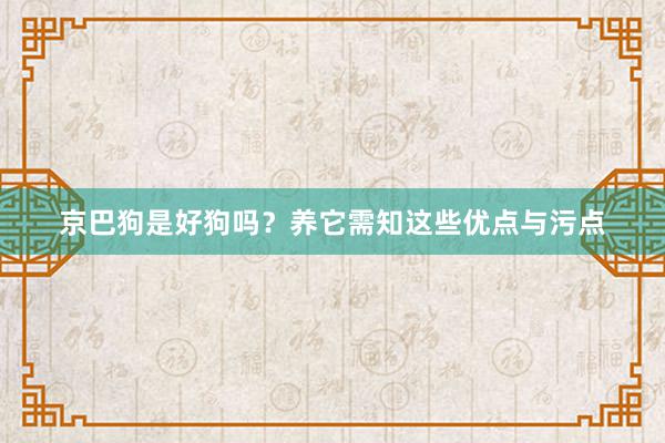 京巴狗是好狗吗？养它需知这些优点与污点