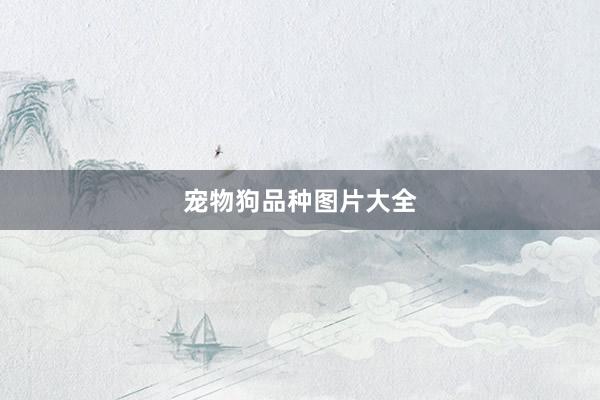 宠物狗品种图片大全