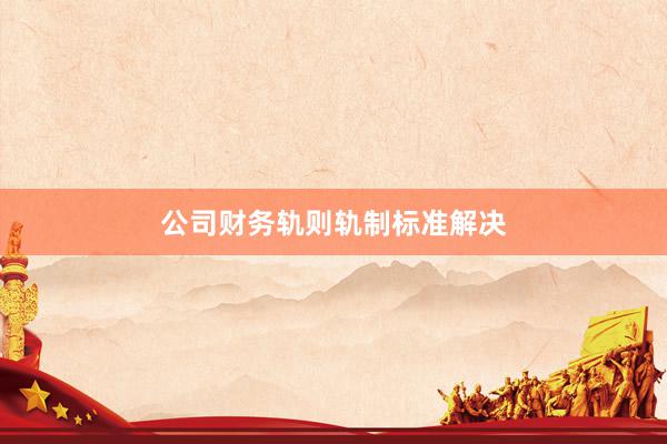公司财务轨则轨制标准解决