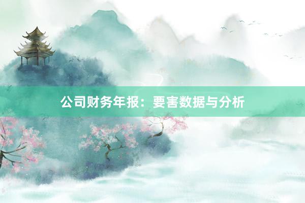 公司财务年报:要害数据与分析